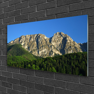 Quadro in vetro acrilico Montagna della foresta della natura