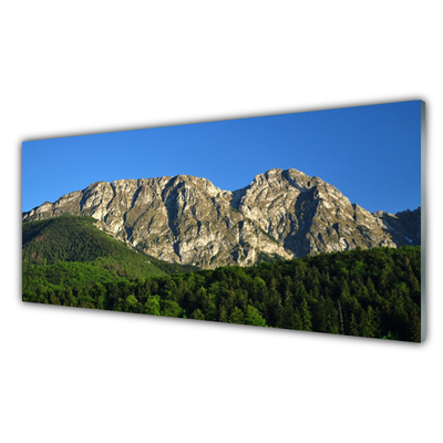 Quadro in vetro acrilico Montagna della foresta della natura