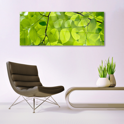 Quadro acrilico Foglie di piante naturali