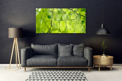 Quadro acrilico Foglie di piante naturali