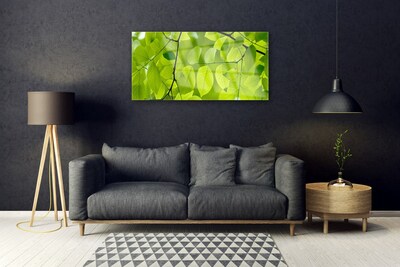 Quadro acrilico Foglie di piante naturali