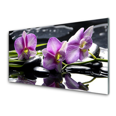 Quadro in vetro acrilico Pianta dell'orchidea del fiore