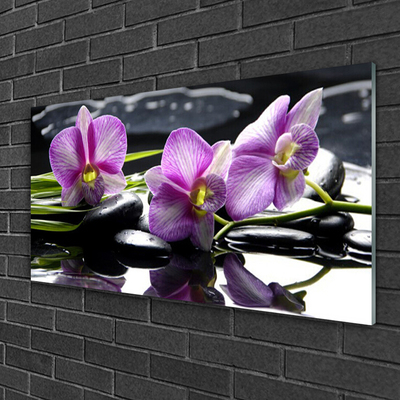 Quadro in vetro acrilico Pianta dell'orchidea del fiore