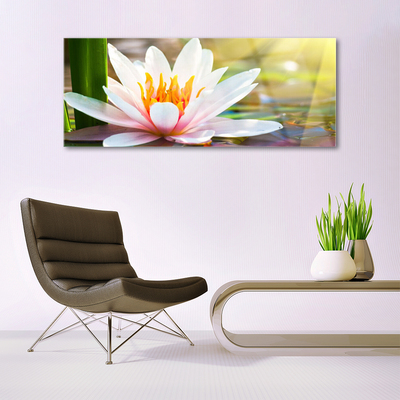 Quadro su vetro acrilico Fiori, piante, natura