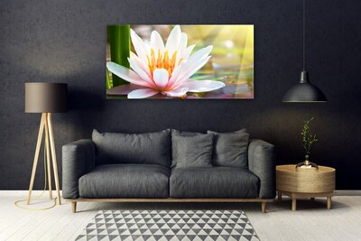 Quadro su vetro acrilico Fiori, piante, natura