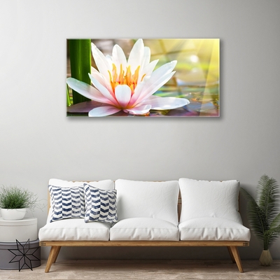 Quadro su vetro acrilico Fiori, piante, natura