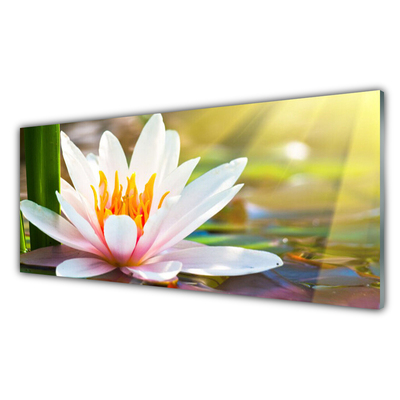 Quadro su vetro acrilico Fiori, piante, natura