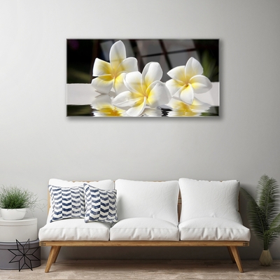 Quadro su vetro acrilico Fiori, piante, natura