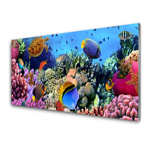 Quadro acrilico Natura della barriera corallina