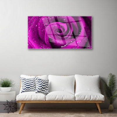 Quadro vetro acrilico Natura della pianta del fiore della rosa