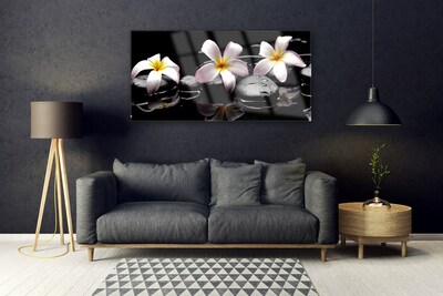 Quadro su vetro acrilico Pianta di pietre di fiori