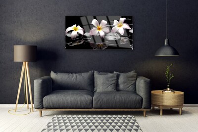 Quadro su vetro acrilico Pianta di pietre di fiori