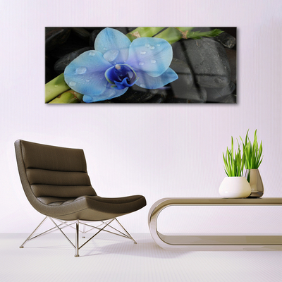 Quadro vetro acrilico Pianta di pietre di fiori