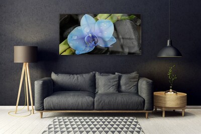 Quadro vetro acrilico Pianta di pietre di fiori