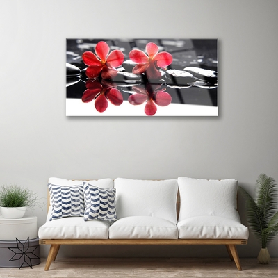 Quadro acrilico Pianta di pietre di fiori