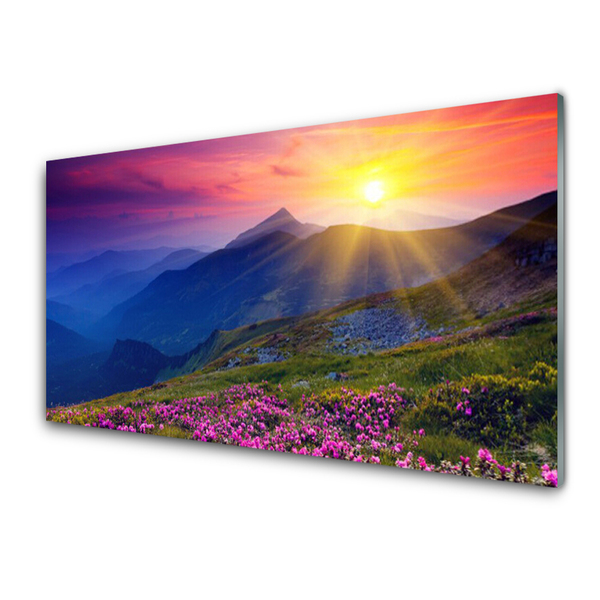 Quadro acrilico Paesaggio del prato di montagna del fiore