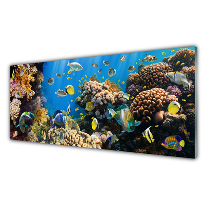 Quadro vetro acrilico Natura della barriera corallina