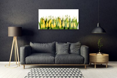 Quadro vetro acrilico Tulipani, fiori, piante