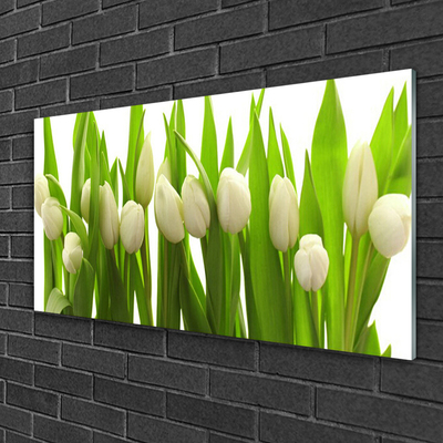 Quadro vetro acrilico Tulipani, fiori, piante