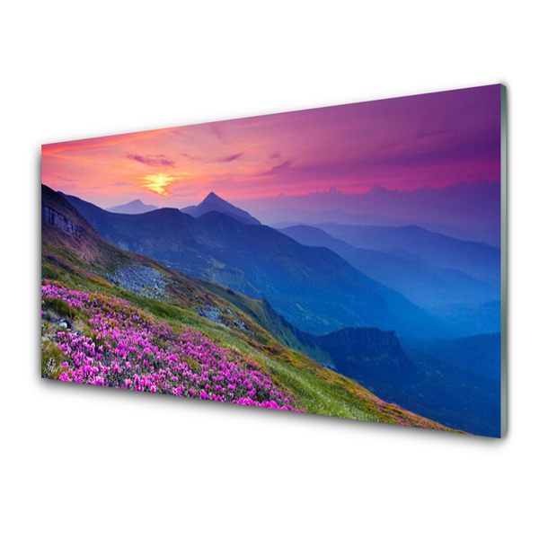 Quadro in vetro acrilico Montagne. Prato. Fiori. Paesaggio