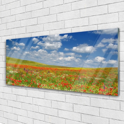 Quadro vetro acrilico Paesaggio di fiori di prato