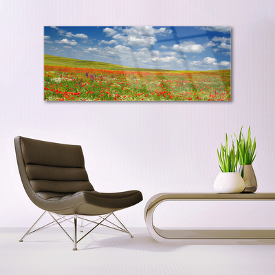 Quadro vetro acrilico Paesaggio di fiori di prato