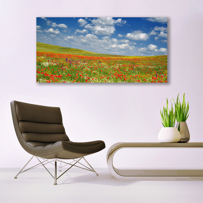 Quadro vetro acrilico Paesaggio di fiori di prato