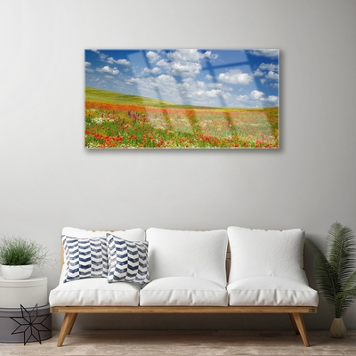 Quadro vetro acrilico Paesaggio di fiori di prato