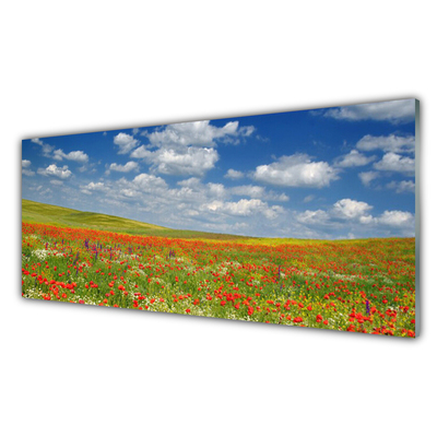 Quadro vetro acrilico Paesaggio di fiori di prato