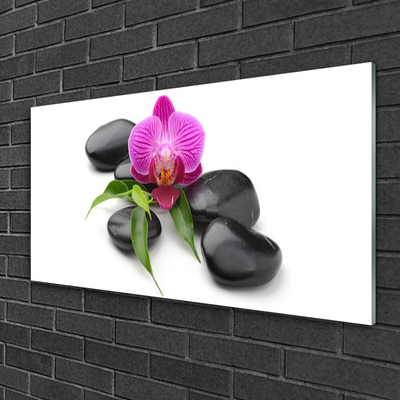 Quadro su vetro acrilico Pietre di fiori Art