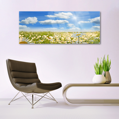 Quadro in vetro acrilico Prato Daisy Natura