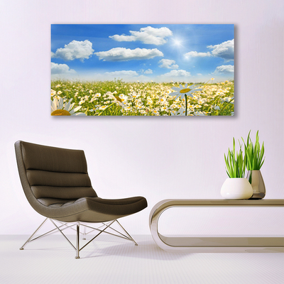 Quadro in vetro acrilico Prato Daisy Natura