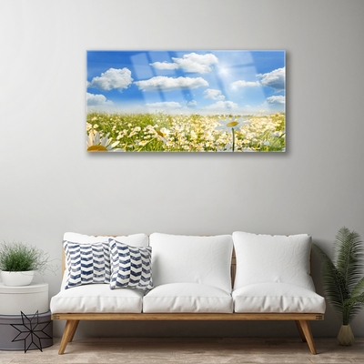 Quadro in vetro acrilico Prato Daisy Natura