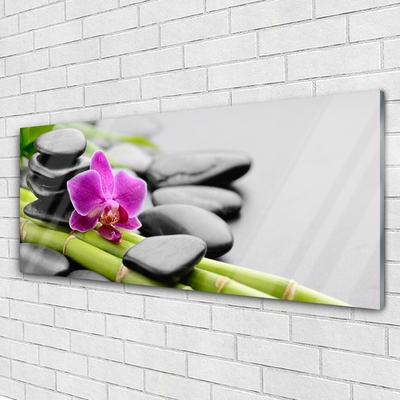 Quadro su vetro acrilico pietre di fiori di bambù art