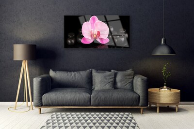 Quadro acrilico Pianta di pietre di fiori