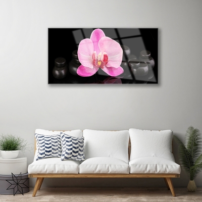 Quadro acrilico Pianta di pietre di fiori