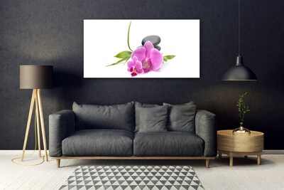 Quadro acrilico Pianta di pietre di fiori