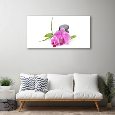 Quadro acrilico Pianta di pietre di fiori