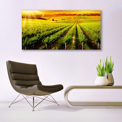 Quadro acrilico Campo naturale