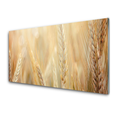 Quadro acrilico Grano vegetale naturale