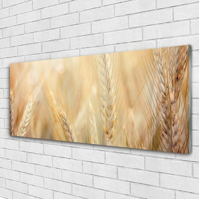 Quadro acrilico Grano vegetale naturale