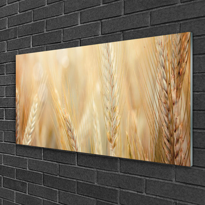 Quadro acrilico Grano vegetale naturale