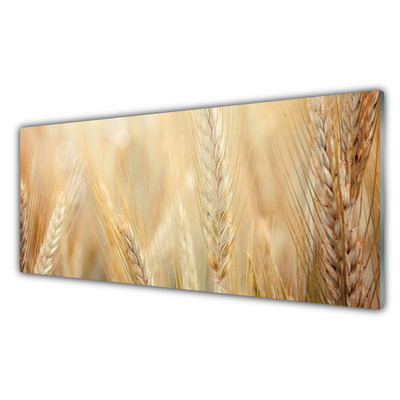 Quadro acrilico Grano vegetale naturale