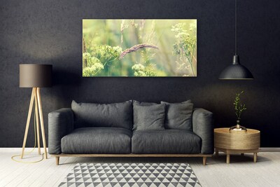 Quadro in vetro acrilico Piante della natura selvaggia