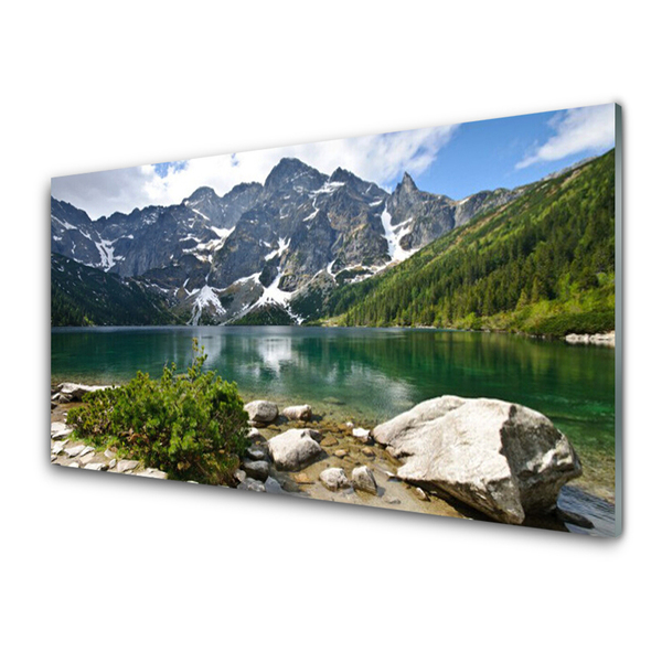 Quadro acrilico Paesaggio di montagna del lago