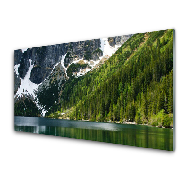 Quadro acrilico Paesaggio di montagna del lago forestale
