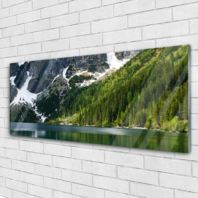 Quadro acrilico Paesaggio di montagna del lago forestale