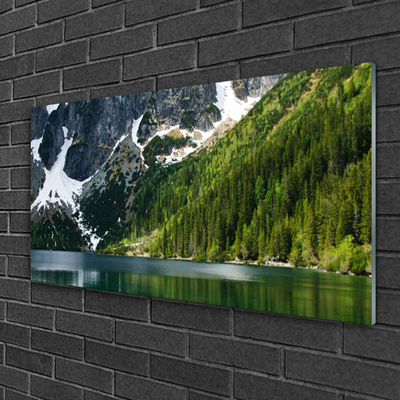 Quadro acrilico Paesaggio di montagna del lago forestale