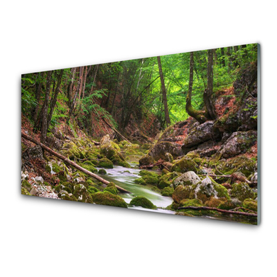 Quadro in vetro acrilico Foresta della natura del muschio