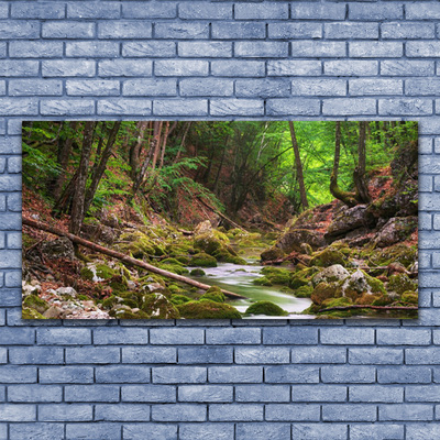 Quadro in vetro acrilico Foresta della natura del muschio